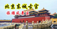 黑丝美女自愈高潮中国北京-东城古宫旅游风景区